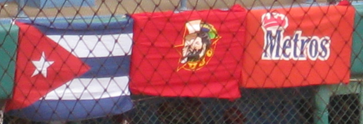 Flags at pitch