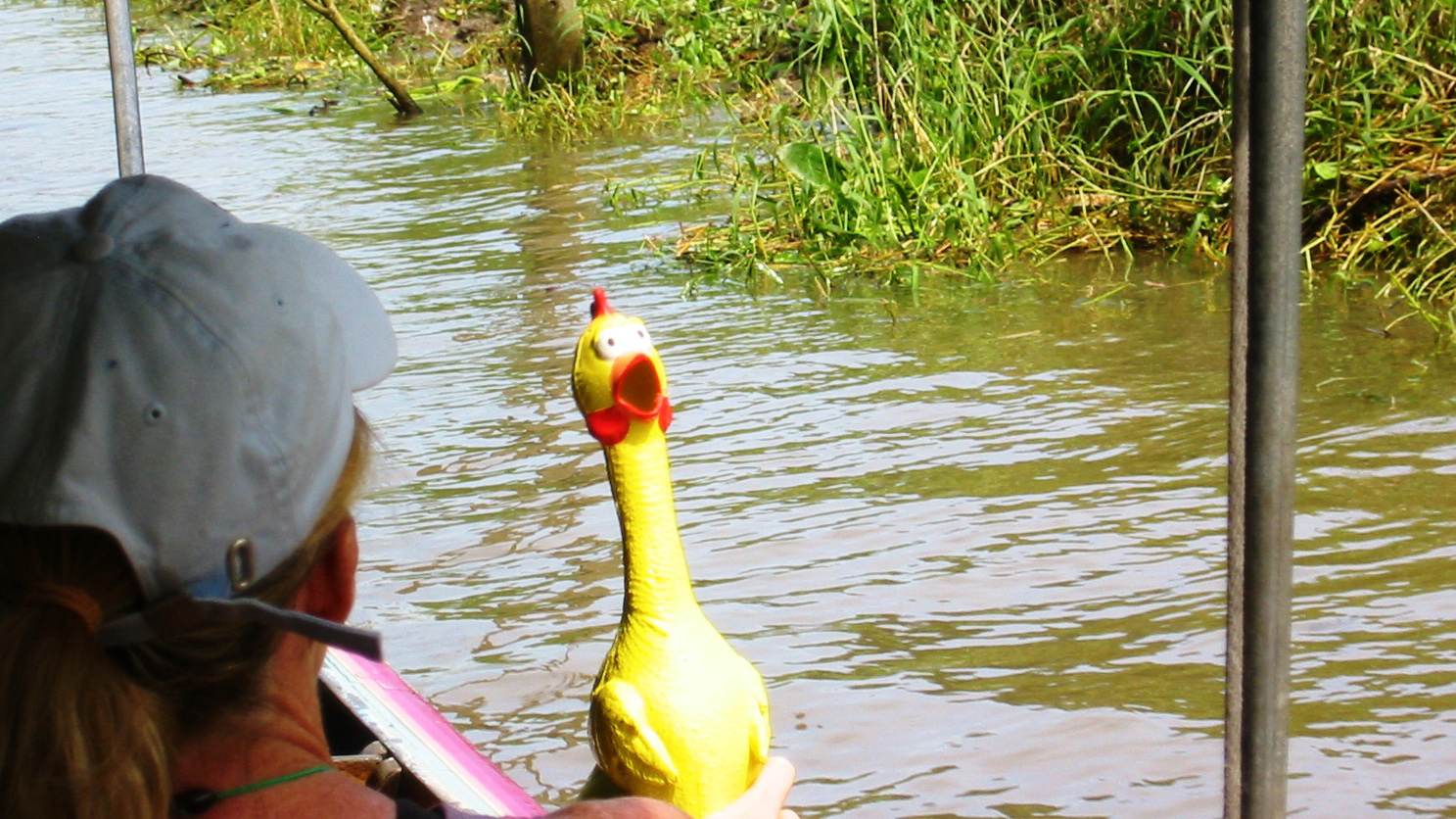 Avian takes a boat ride