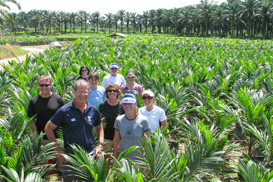 Team in palm grove