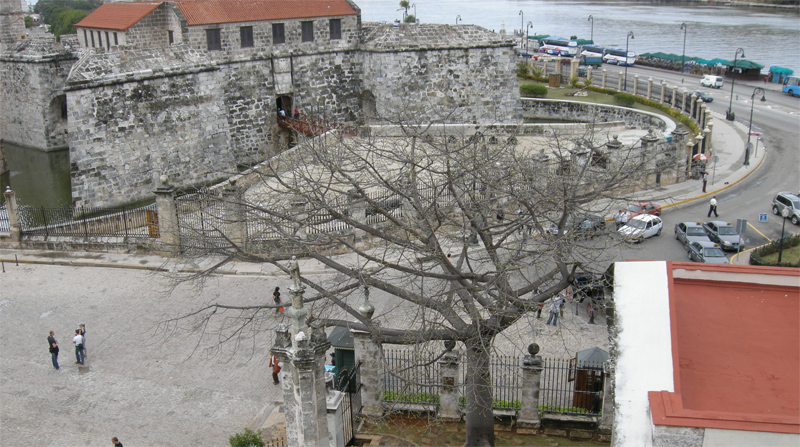 From Santa
          Isabel: Castle and Founding Tree