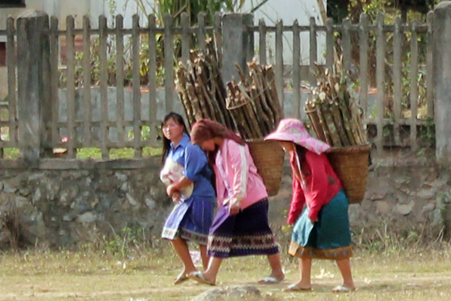 Girls carrying firewood