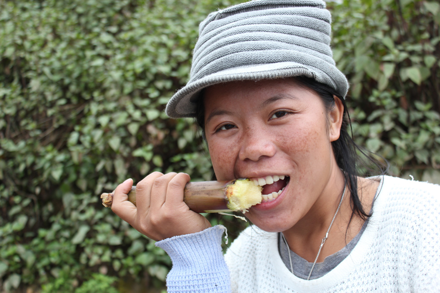 Lao Kang eating
          sugarcane